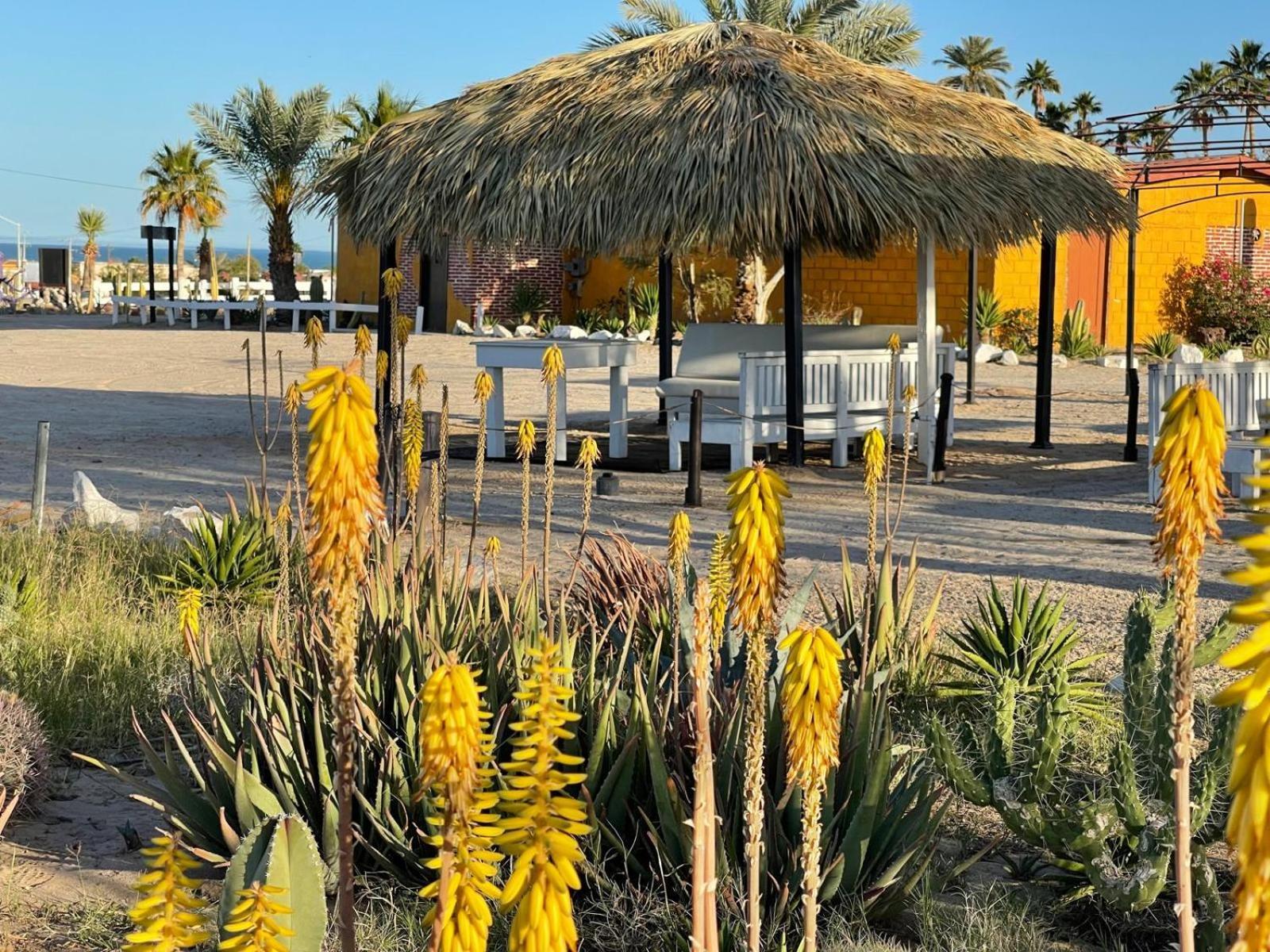 Hotel Las Palmas San Felipe  Eksteriør billede