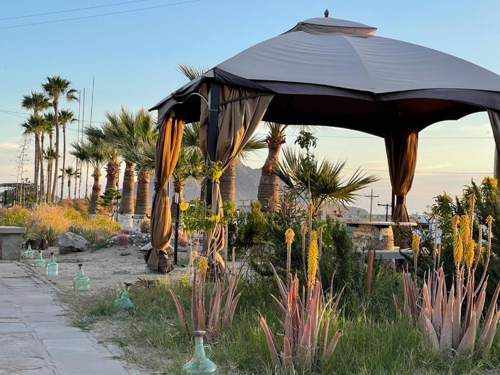 Hotel Las Palmas San Felipe  Eksteriør billede